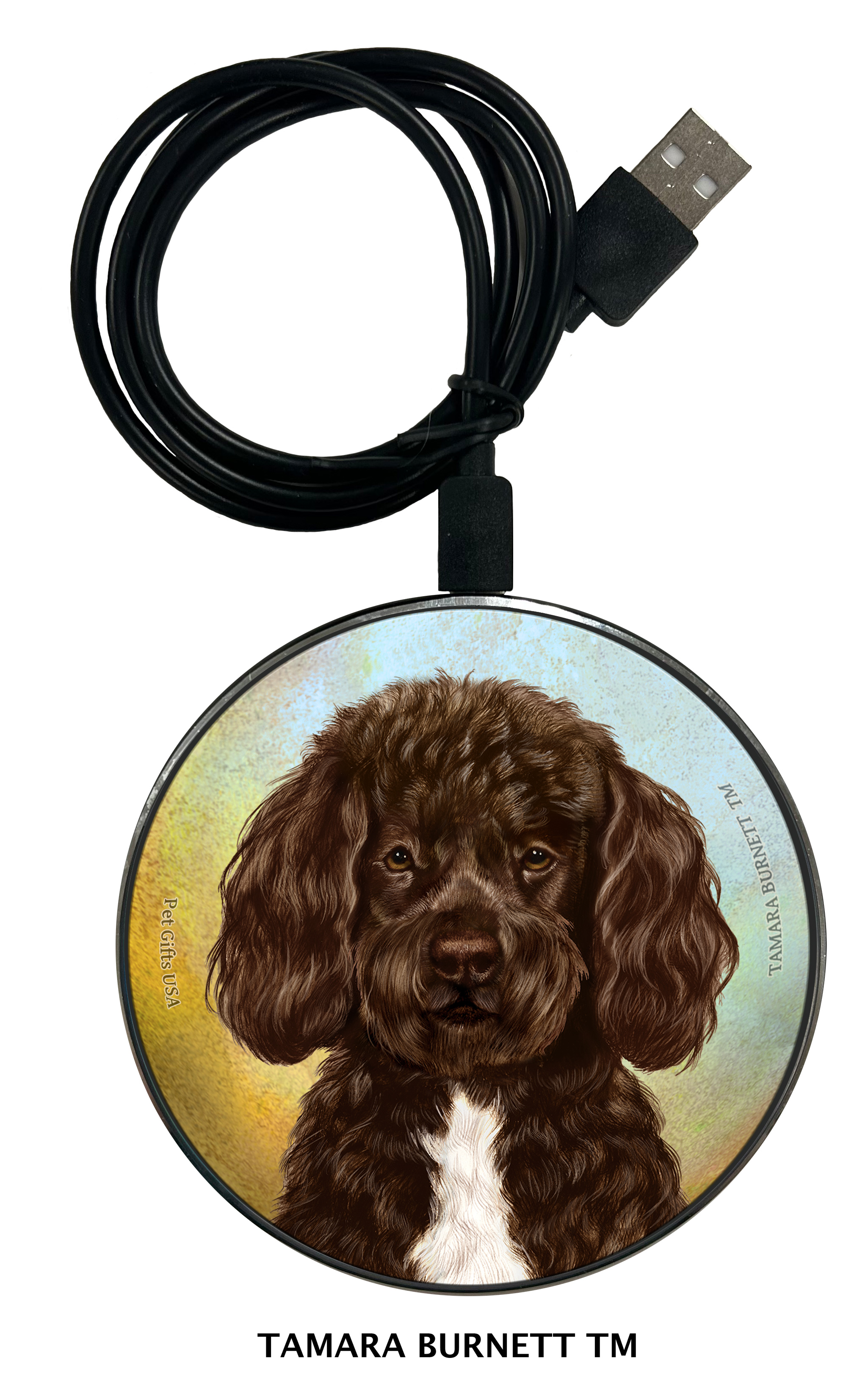 Portuguese Water Dog Brown and White Bearded - Zoomies Phone Charger image